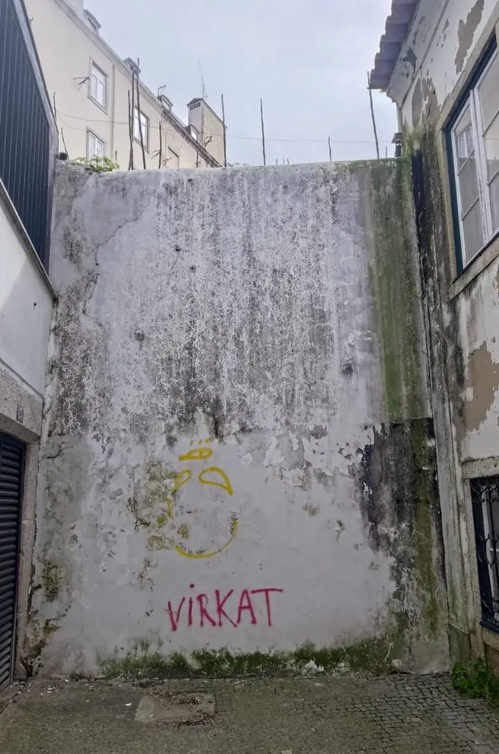 Muro de pátio escurecido por fungos e algas